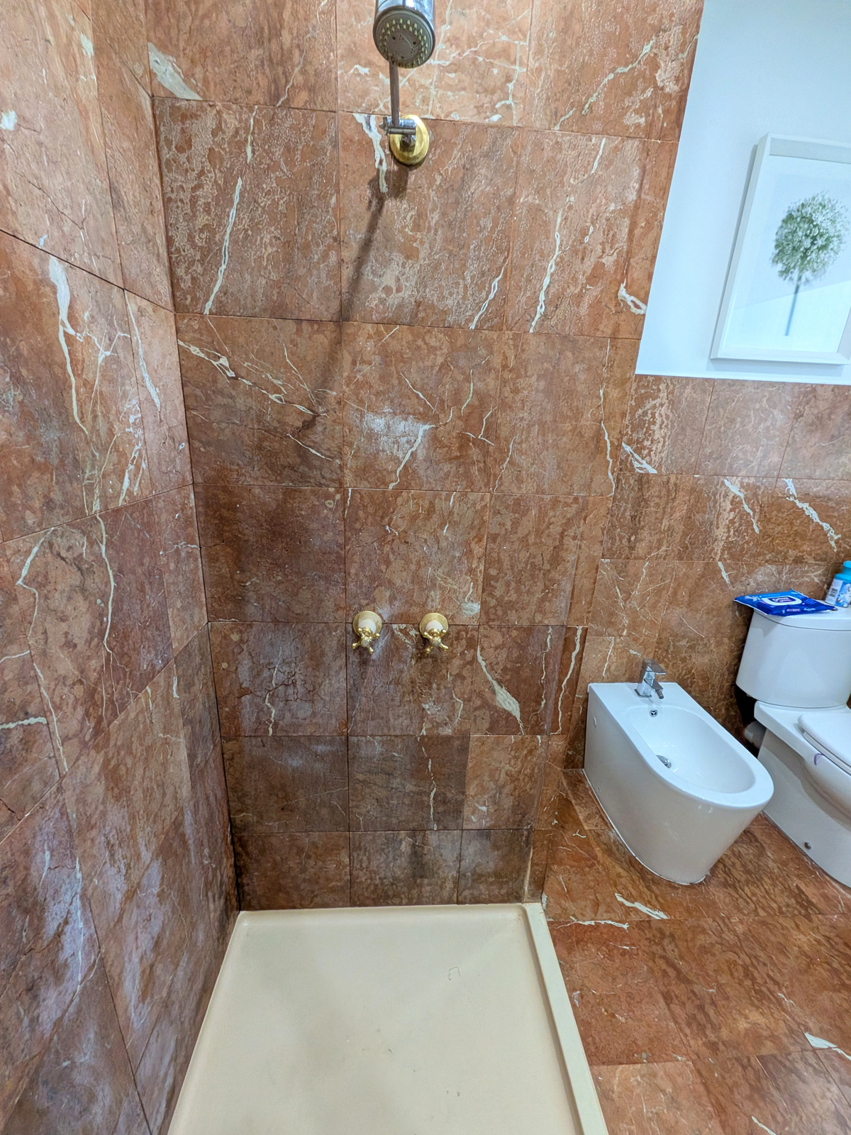 Before — red marble bathroom second angle